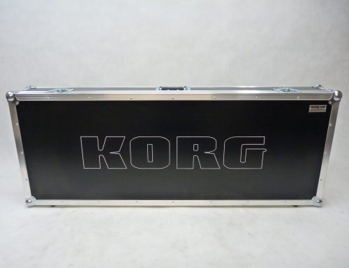 CASE KORG M1